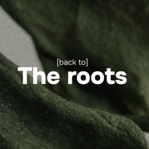 Back to The Roots